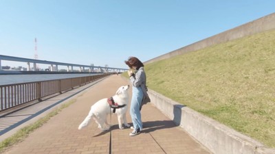 BJくんが彼女さんに気づくか検証6