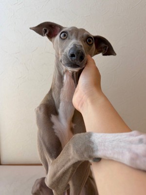 最高のパートナー♪