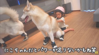 渋々ながらも完遂!