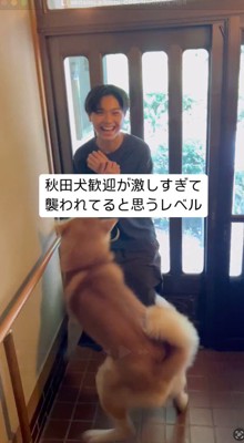 玄関に立っている飼い主の友人に尻尾を振る犬