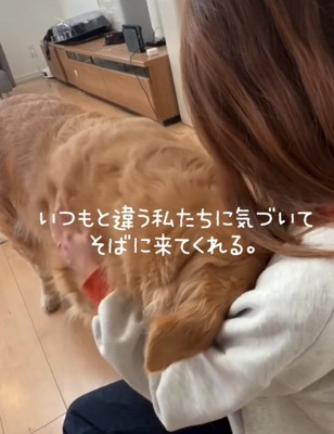 顔をうずめるきなこちゃん