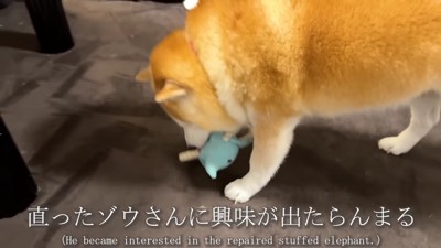 「こんなに綺麗になるなんて！」