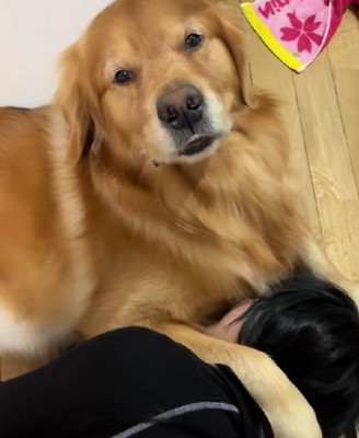 娘さんを庇うソララちゃん