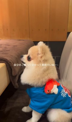 お店で食事するむぎくん