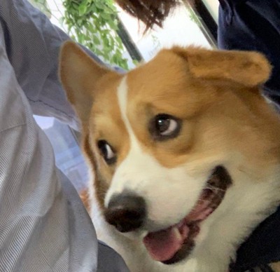 「え…どゆこと?」