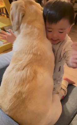 犬の体を叩く子ども