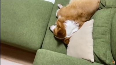 お母さんがでかけるときは…