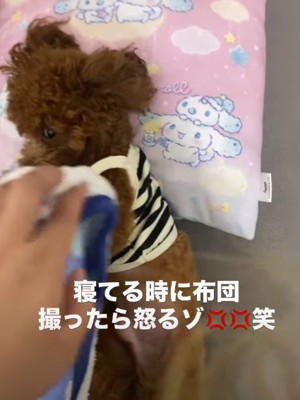 じろっとした鋭い視線