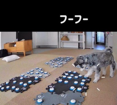 告げ口するモネちゃん7