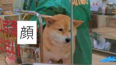 でもお顔は嫌そう(笑)