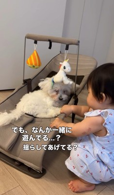 あさりちゃんと赤ちゃん5