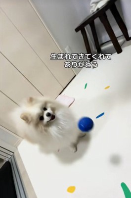 木ノ葉丸くんとの出会い⑩