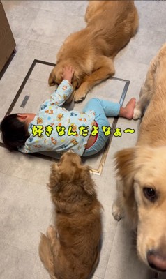 犬3匹を撫でる男の子6