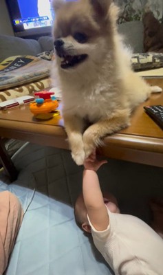 イクラちゃんと赤ちゃん5