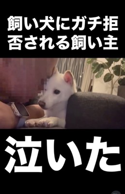 スリスリスリスリ