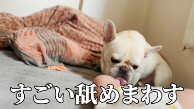 赤ちゃんの足をペロペロ