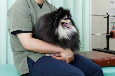 診察室で待つ犬