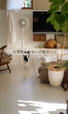 しずくちゃんの変化5