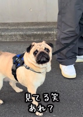 困惑するママ