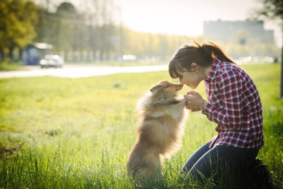 犬と女性