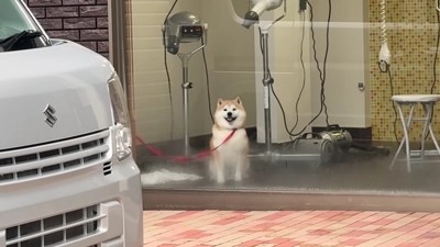 ニコニコ笑ってる！