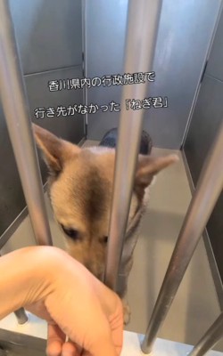 行き場がなかったねぎくん