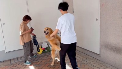 男性に抱きつきながらカメラの方をむく犬