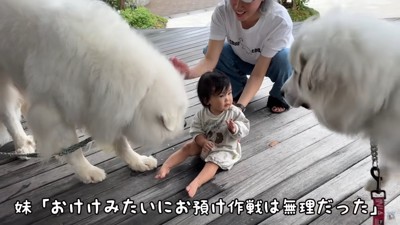 「マテはできなかったな…」