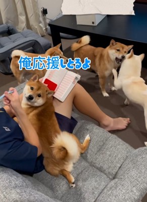 カメラ目線のなぎくん