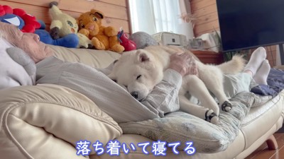 ここが落ち着く…♡