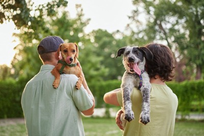 抱えられている2匹の犬