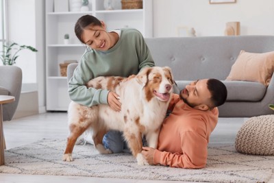 夫婦と遊ぶ犬
