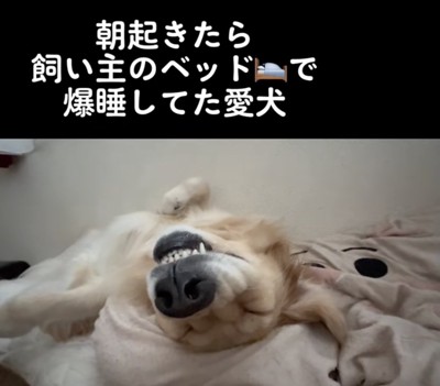 涼しい場所をちゃっかりゲット