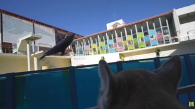 迫力満点のジャンプ！！