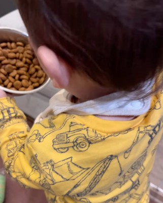 ドッグフードをいじる男の子