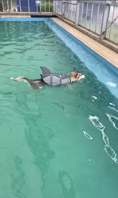 ムウくんの成長8