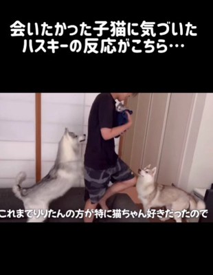 ここちゃんも来た