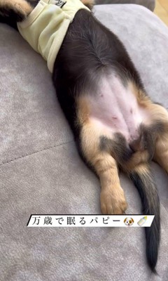 眠るアイヴィちゃん