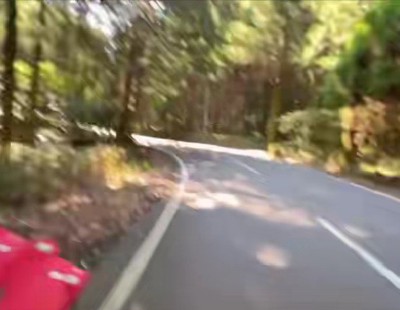 ハシゴを持って子犬の元へ