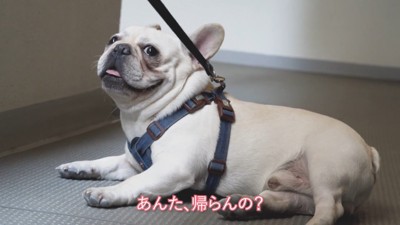 まだ粘っています(笑)