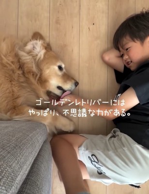 息子さんの手を舐めるきなこちゃん