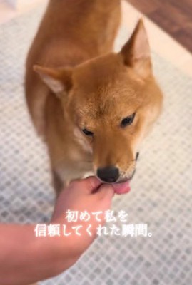 安心して甘えられるように