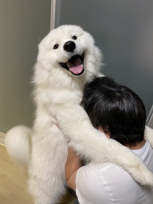 ニパッ
