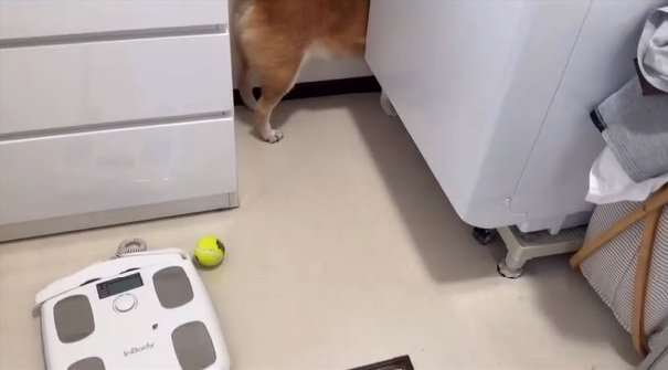 ロックくんを探すママ