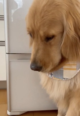 落ち込んでからの…