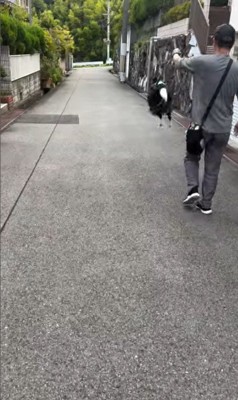 おじさんとお散歩中のルナちゃん2