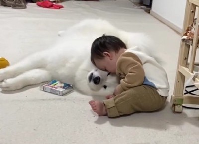 「えっ…ここで寝るの?」
