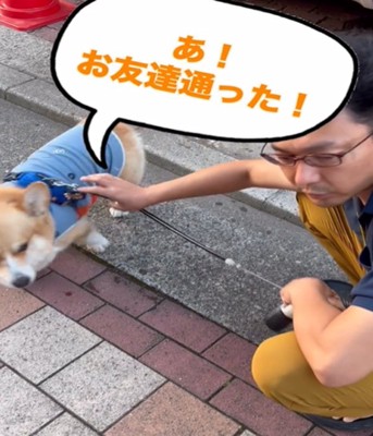 顔を上げる犬
