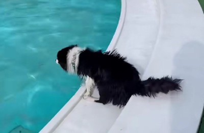 いざ、入水！！