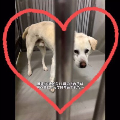 三郎くんが幸せを掴むまで2